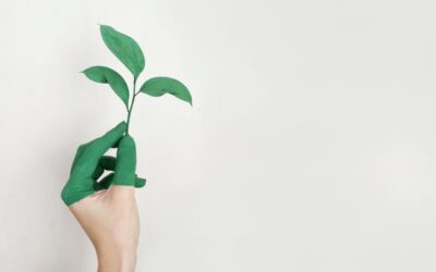 Il Green come mission e valore per la comunità